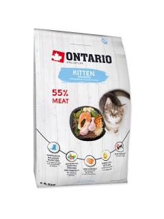 Ontario Kitten Salmon