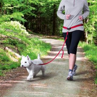 Trixie Pás na běh s nylonovým vodítkem pro malé a střední psy Z