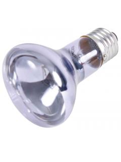 Trixie Žárovka neodymium Basking Spot-Lamp 75 W